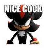 Shadow The Hedgehog